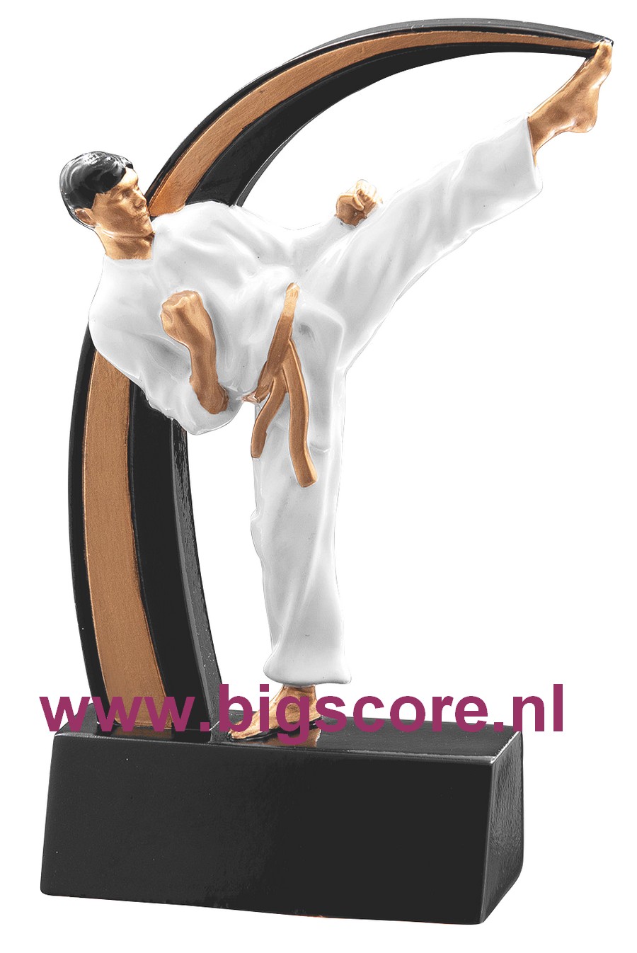 Karate Heer Resinbeeld BSST 39806
